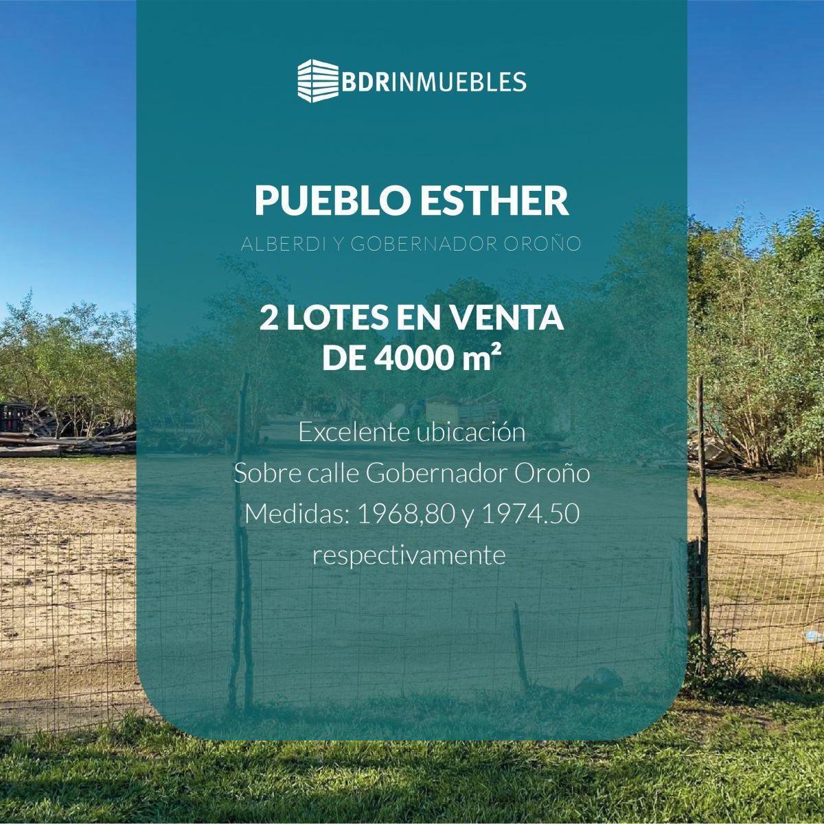Foto de VENTA 2 LOTES PUEBLO ESTHER. METROS RUTA. JUNTOS (4000 M2) O SEPARADOS, imagen 4