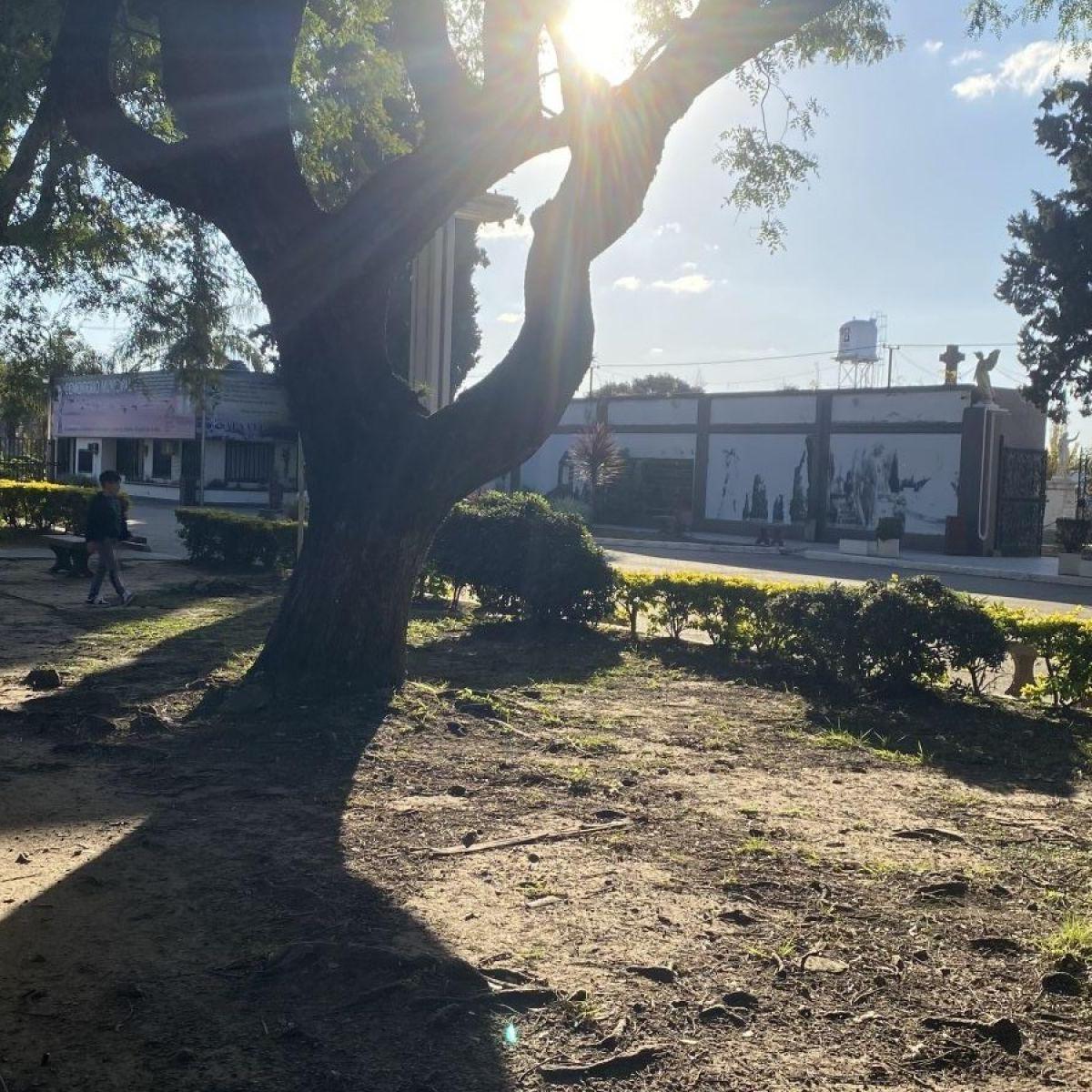 VENTA NEGOCIO FLORERIA (FONDO DE COMERCIO FUNCIONANDO) INCLUYE INMUEBLE. SAN LORENZO