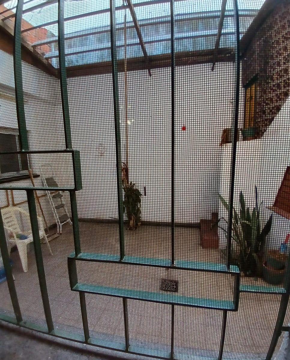 Foto de VENTA CASA PASILLO DE 3 DORM. 2 BAÑOS . PATIO (DORREGO 2900), imagen 3