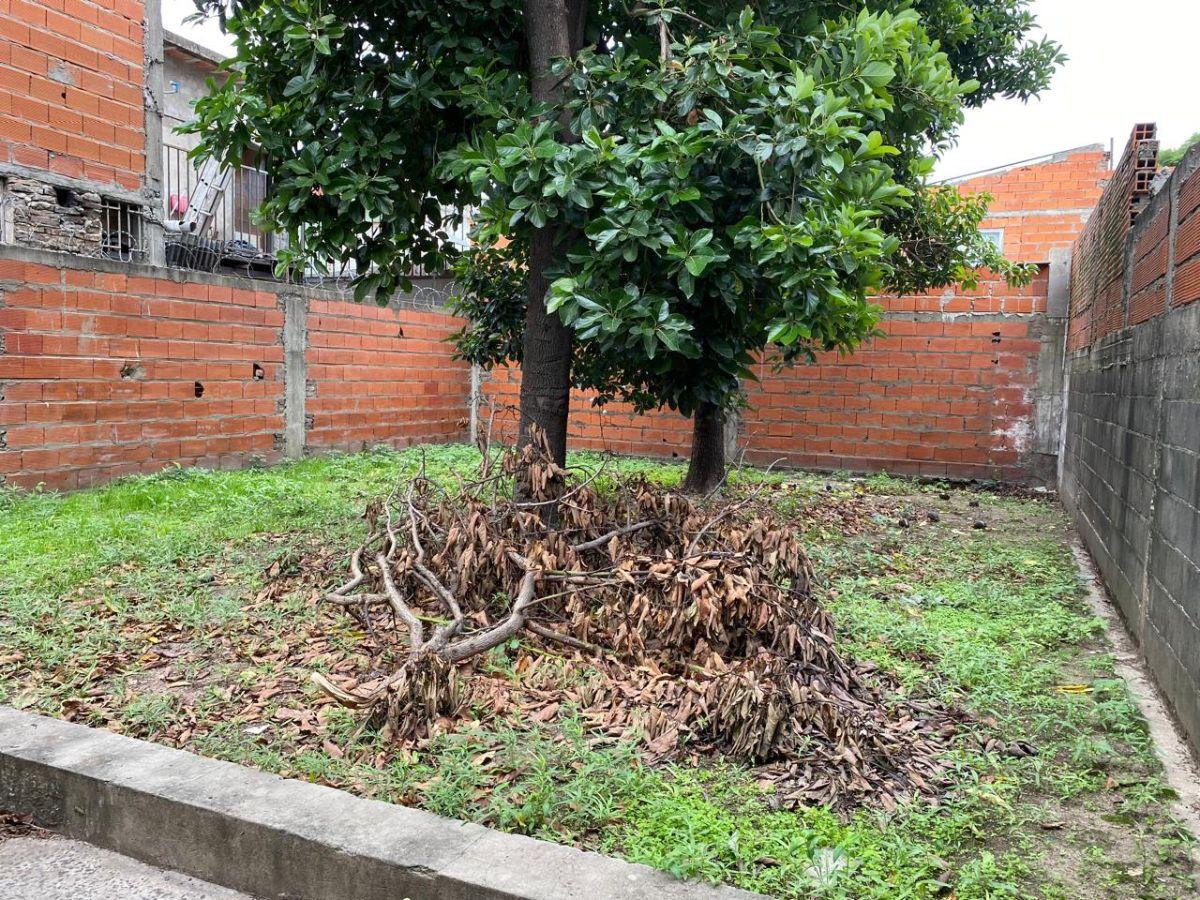 Foto de VENTA TERRENO CON 2 LOCALES COMERCIALES Y TERRENO, imagen 2