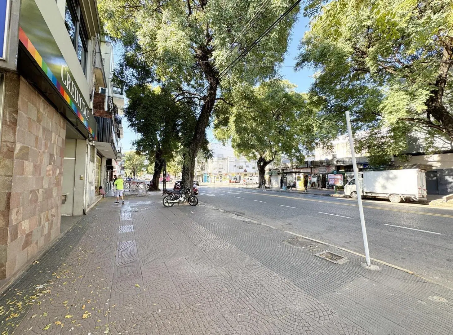 Excelente Terreno en Parque Avellaneda (ZONA COMERCIAL) 4