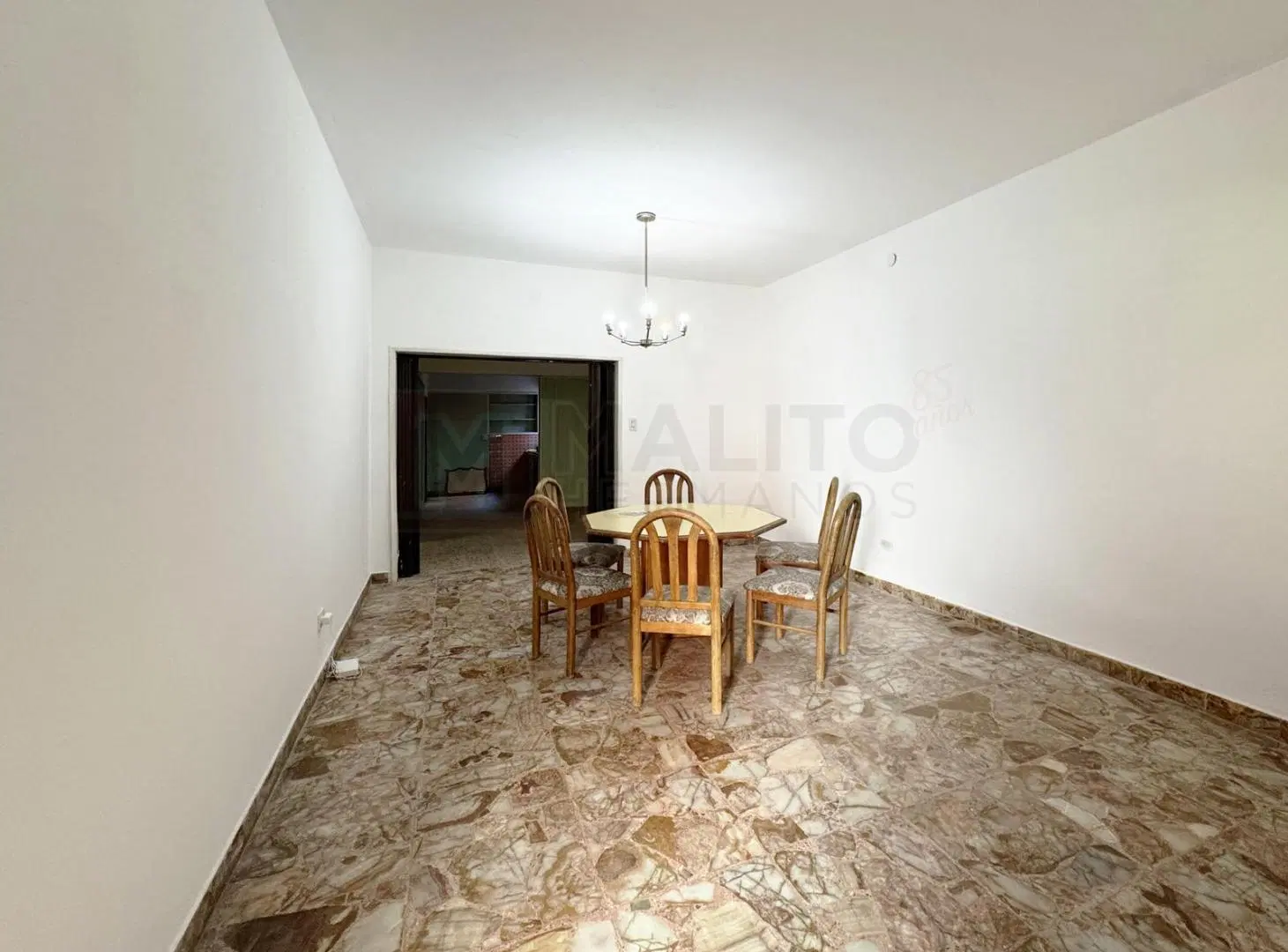 GRAN LOTE CON 2 CASAS, JARDÍN, PATIO Y TERRAZA 5