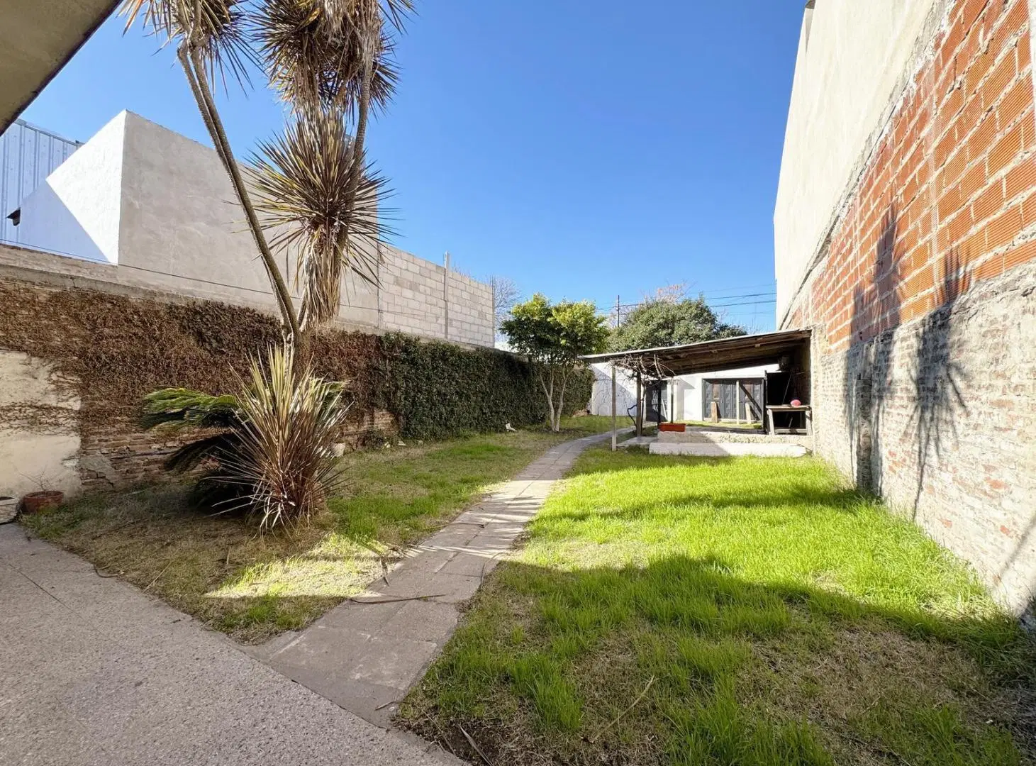 GRAN LOTE CON 2 CASAS, JARDÍN, PATIO Y TERRAZA 3