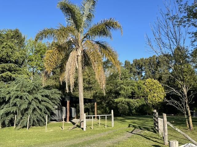 Foto de LOTE EN VENTA, CLUB DE CAMPO EL MORO, MARCOS PAZ, imagen 4