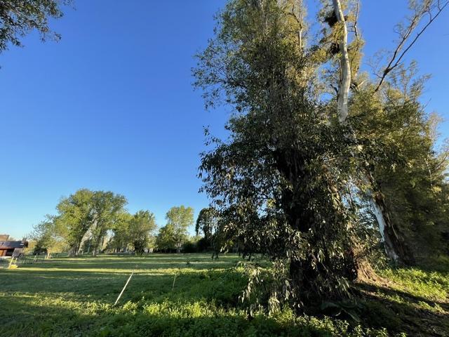 Foto de GRAN LOTE DE 4144M2 EN VENTA, CLUB DE CAMPO EL MORO, MARCOS PAZ, imagen 3