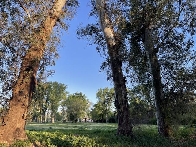 Foto de GRAN LOTE DE 4144M2 EN VENTA, CLUB DE CAMPO EL MORO, MARCOS PAZ, imagen 2
