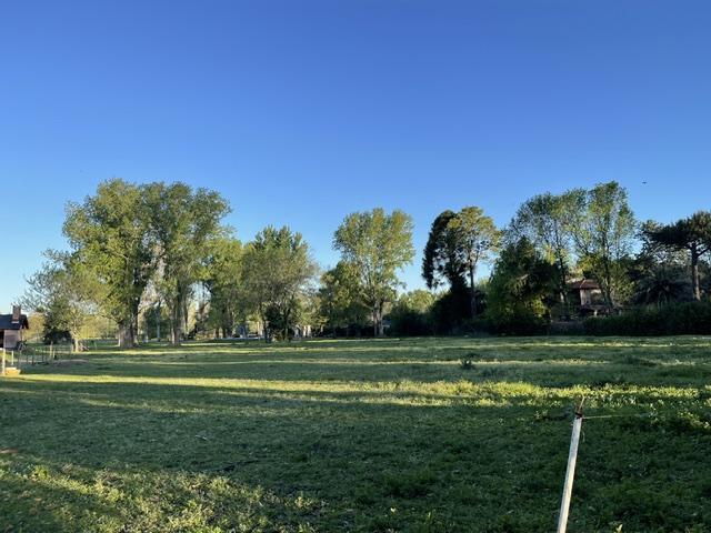 Foto de GRAN LOTE DE 4144M2 EN VENTA, CLUB DE CAMPO EL MORO, MARCOS PAZ, imagen 1