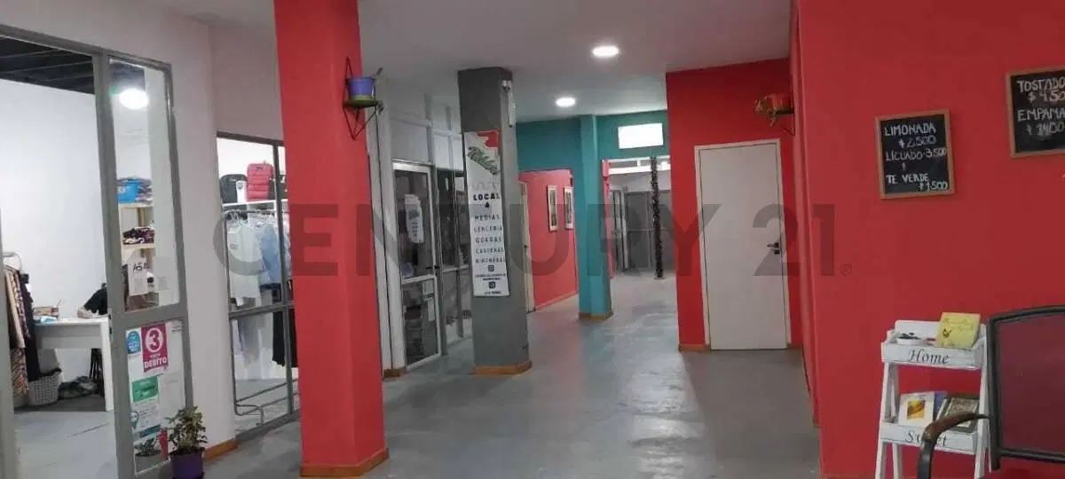 OPORTUNIDAD ÚNICA | Local sobre Av. 7 frente a Plaza Olazábal | 255 m² | Vidriera | Acceso discapaci 5