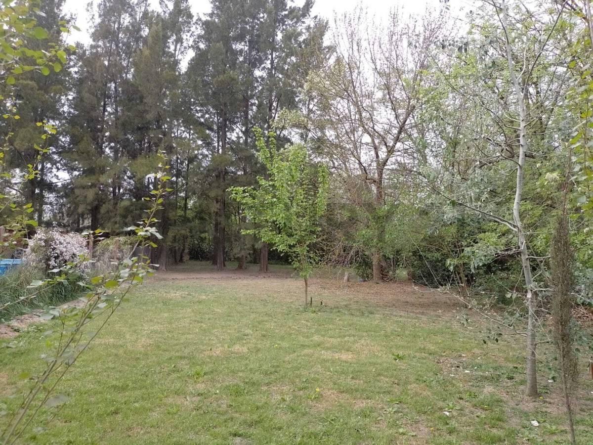 Foto de LOTE EN VENTA EN PARQUE LAS NACIONES GUERNICA 1500 M2 PRESIDENTE PERON, imagen 5