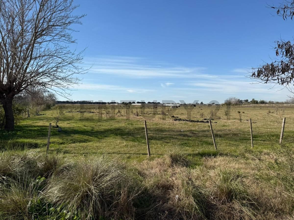 Foto de campo de 5 hectáreas y medias, imagen 3