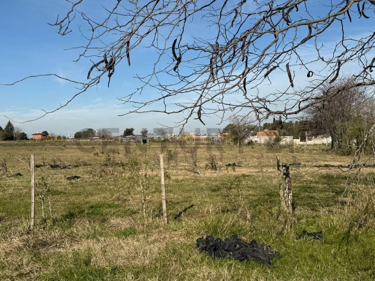 Foto de campo de 5 hectáreas y medias, imagen 5