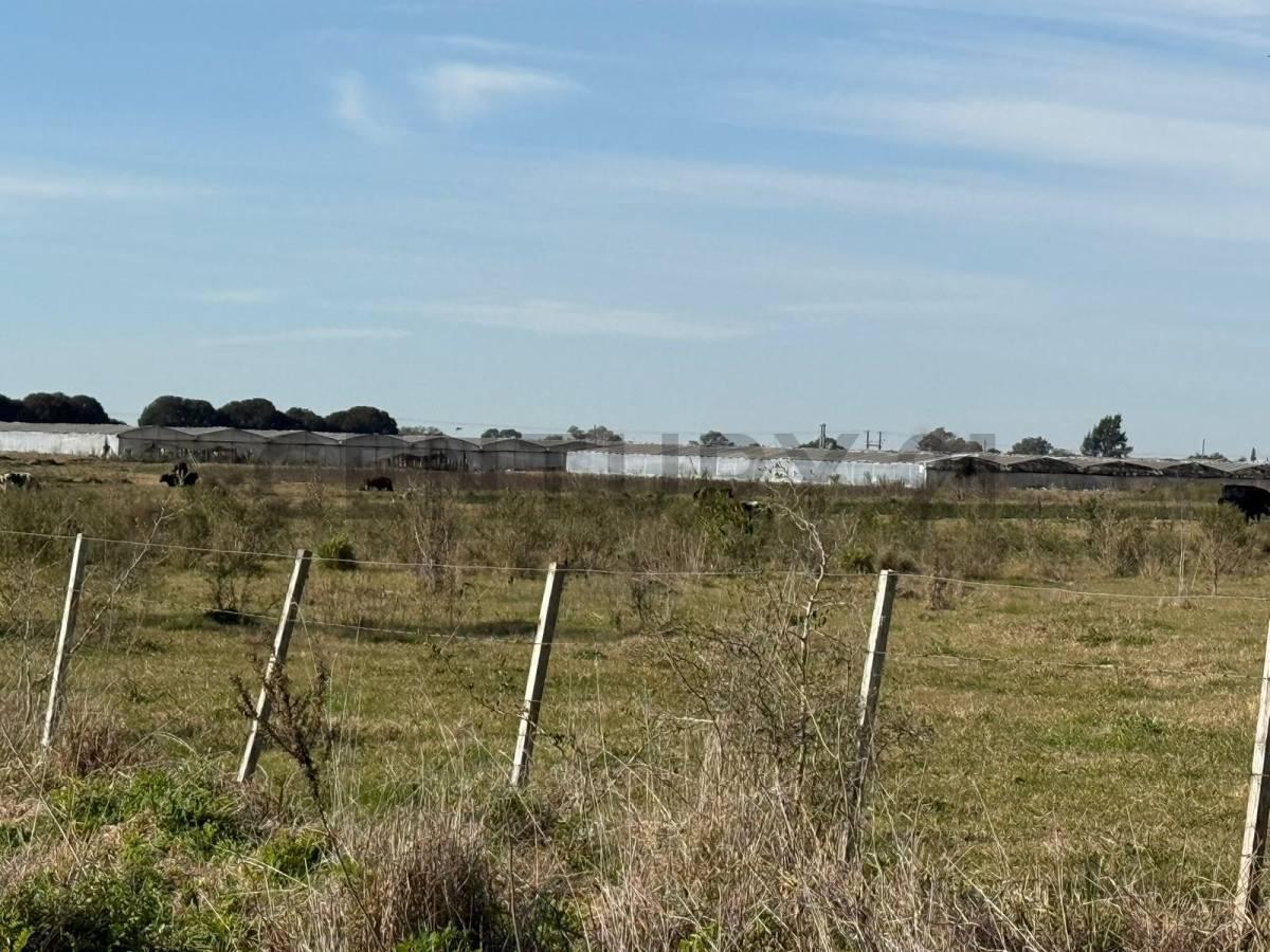 campo de 5 hectáreas y medias
