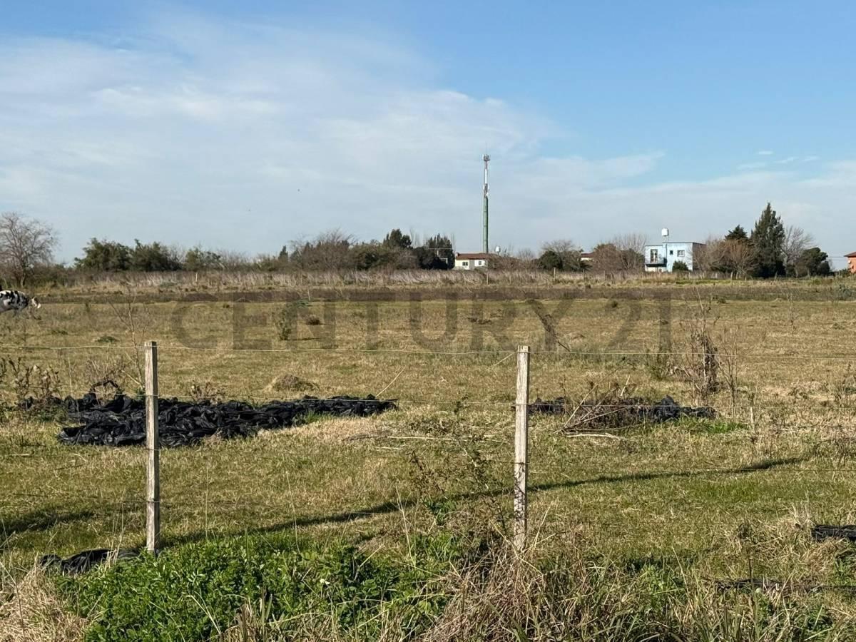 Foto de campo de 5 hectáreas y medias, imagen 1