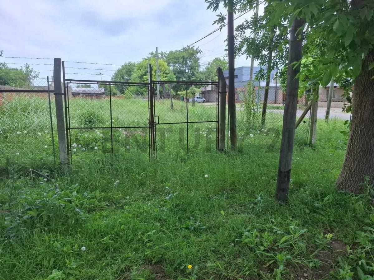 Foto de Terreno en venta 138 ESQ 522, imagen 3