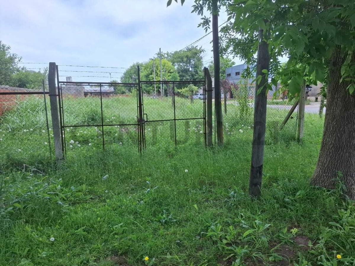 Foto de Terreno en venta 138 ESQ 522, imagen 5
