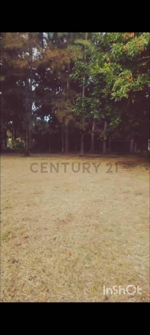 Foto de LOTE EN VENTA EN PARQUE LAS NACIONES GUERNICA 1500 M2 PRESIDENTE PERON, imagen 3