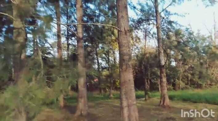 Foto de LOTE EN VENTA EN PARQUE LAS NACIONES GUERNICA 1500 M2 PRESIDENTE PERON, imagen 5