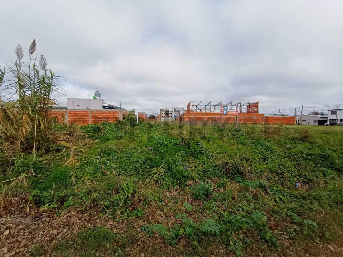 Foto de SE VENDE TERRENO EN 6 E/83 Y 84 LA PLATA, imagen 2