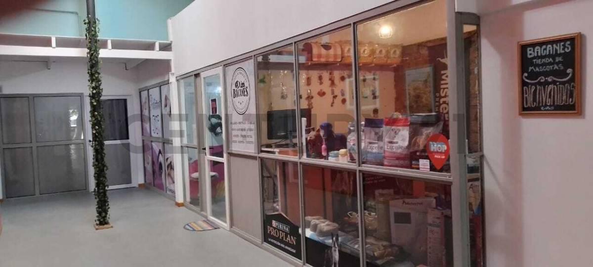 Foto de OPORTUNIDAD ÚNICA | Local sobre Av. 7 frente a Plaza Olazábal | 255 m², imagen 5