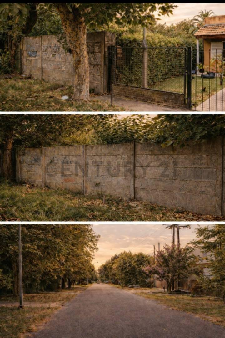 Foto de VENTA 3 Lotes en Venta en Gorina – 462 y 425 m² – Escritura Directa, imagen 1