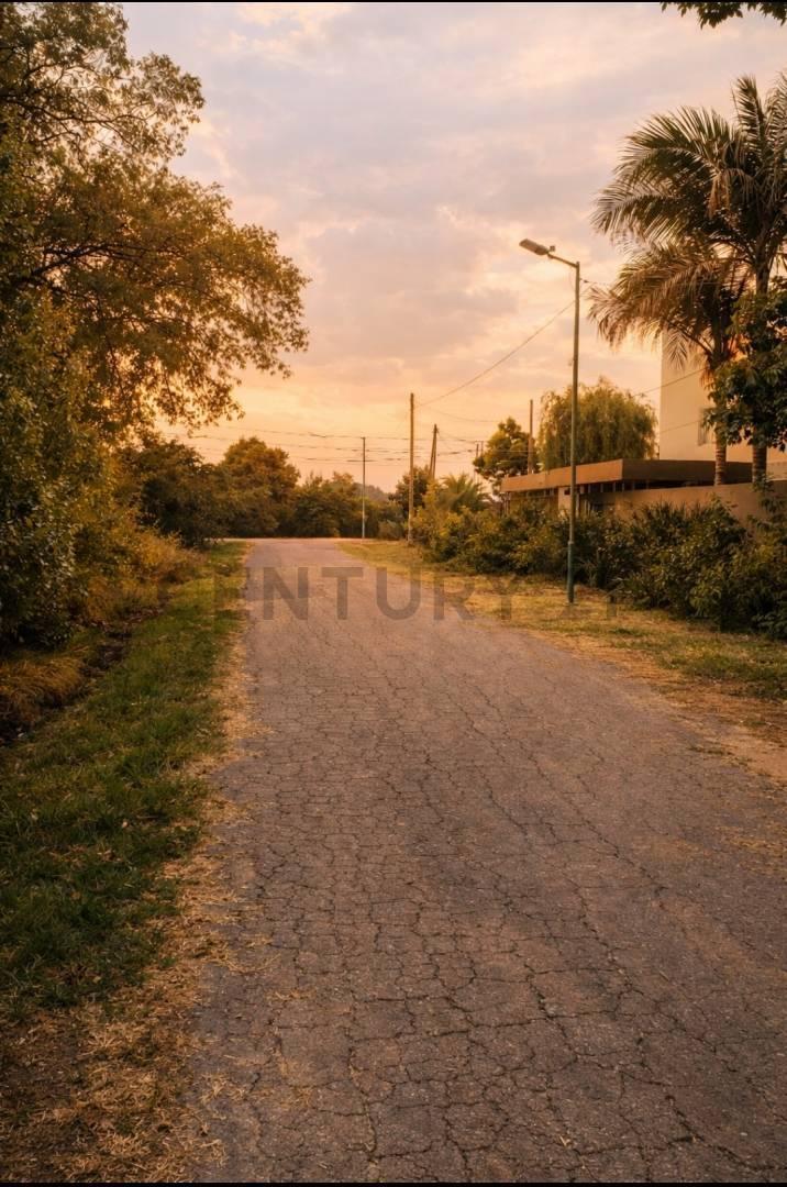 Foto de VENTA 3 Lotes en Venta en Gorina – 462 y 425 m² – Escritura Directa, imagen 2