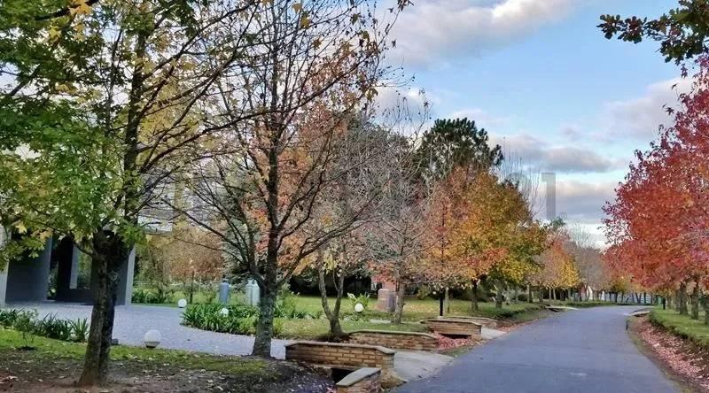 Foto de LOTE EN VENTA DE 695 M² EN MIRALAGOS CLUB DE CAMPO LA PLATA BUENOS AIRES, imagen 2