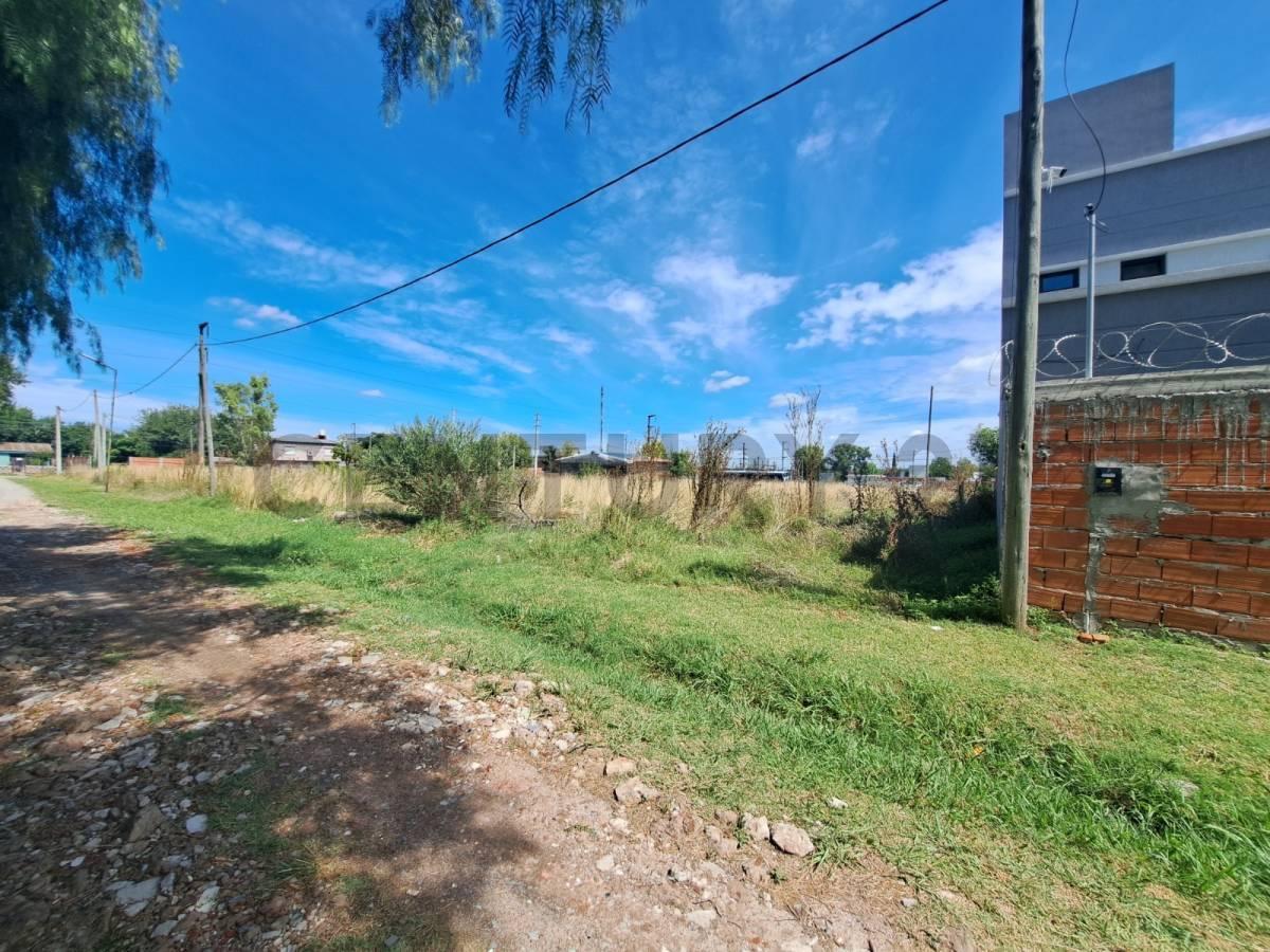 Foto de SE VENDE TERRENO EN LA PLATA, imagen 4
