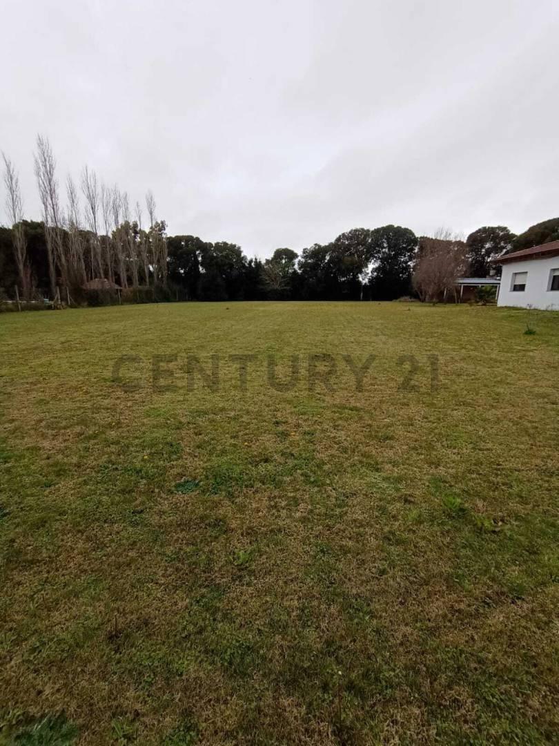 Foto de TERRENOS EN VENTA , BARRIO AEROPUERTO, LA PLATA, imagen 2