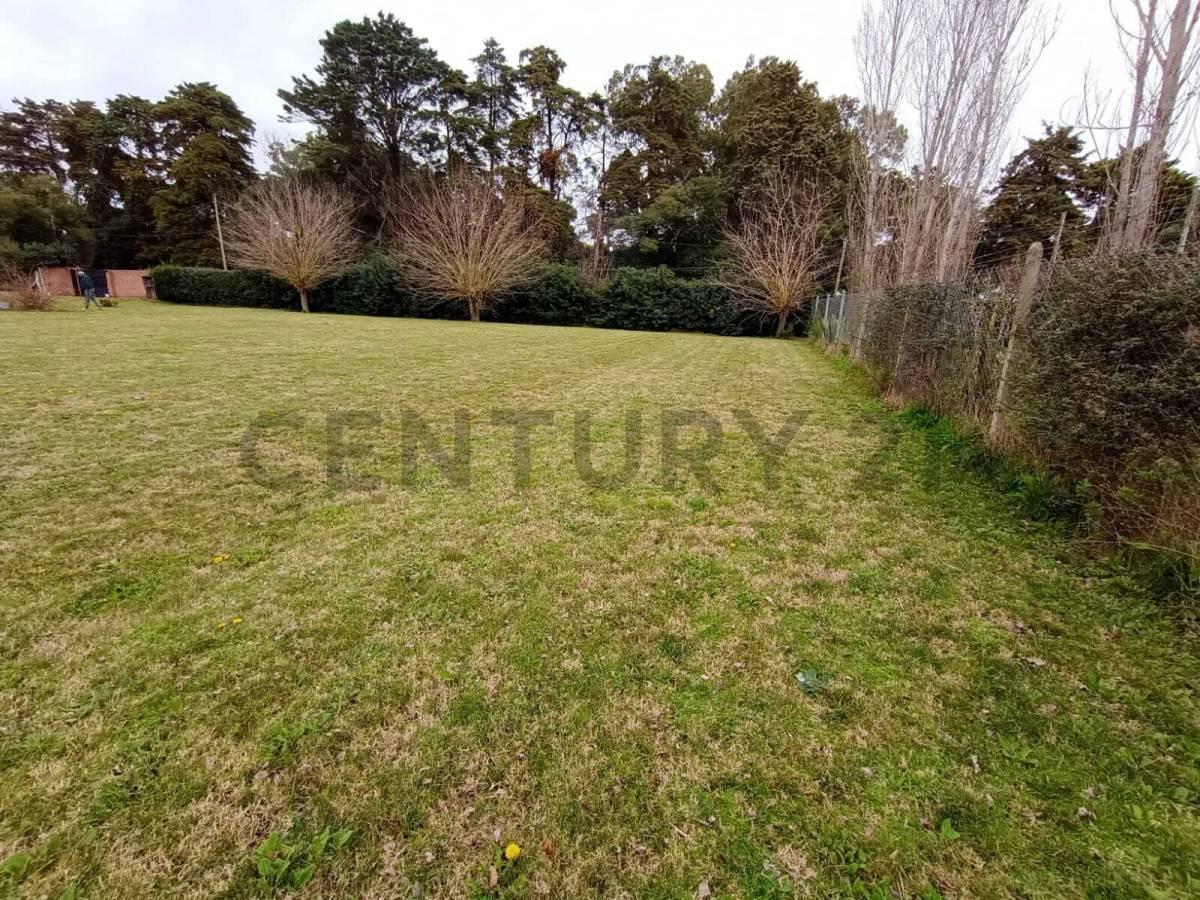 Foto de TERRENOS EN VENTA , BARRIO AEROPUERTO, LA PLATA, imagen 3