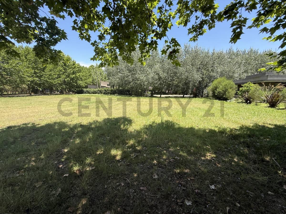 Foto de Lote 1.547 m2 Haras del Sur I oportunidad, imagen 1