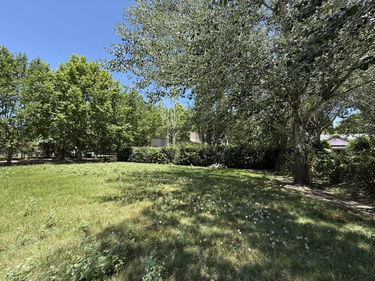 Foto de Lote 1.547 m2 Haras del Sur I oportunidad, imagen 3
