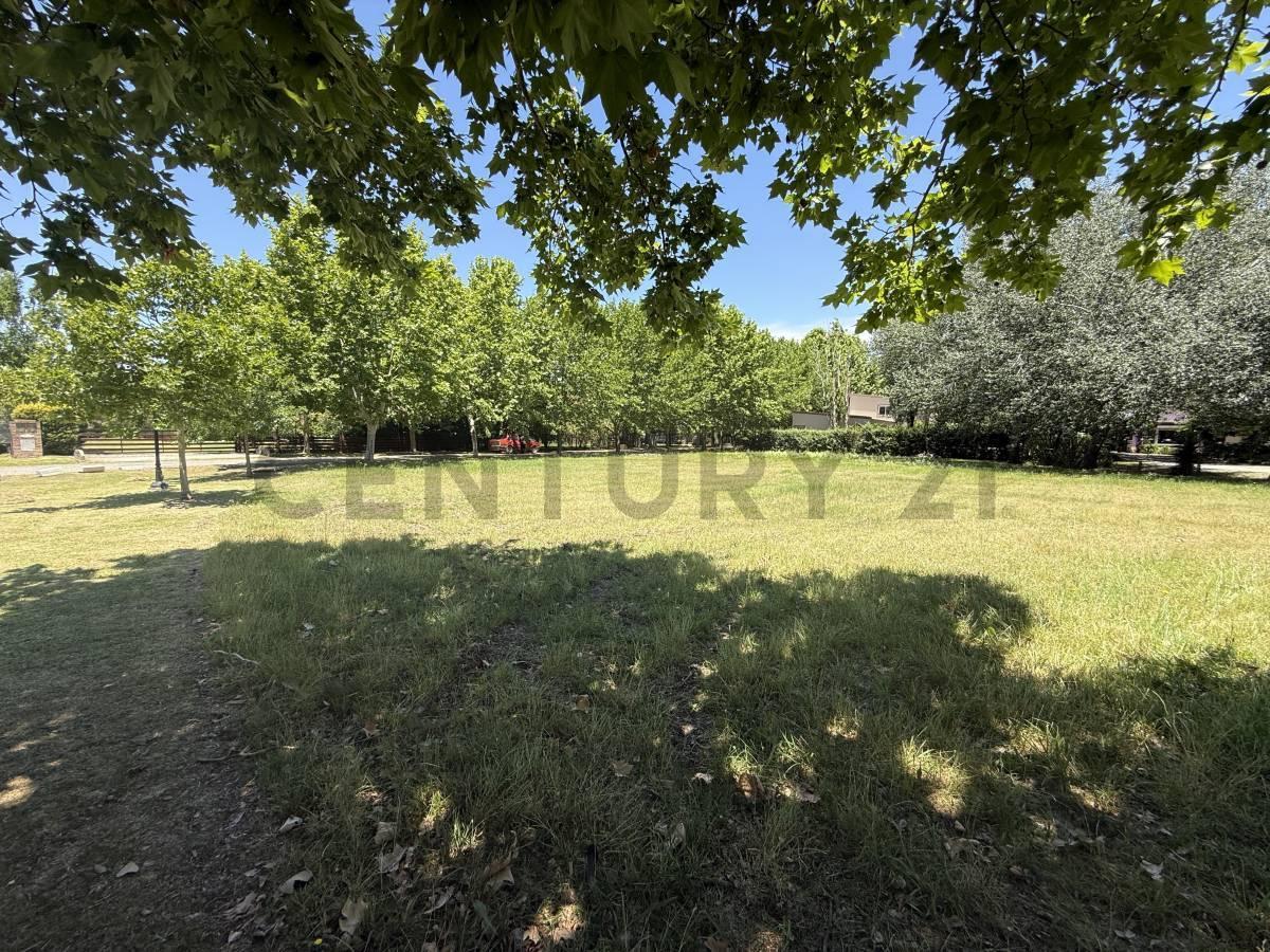 Foto de Lote 1.547 m2 Haras del Sur I oportunidad, imagen 5