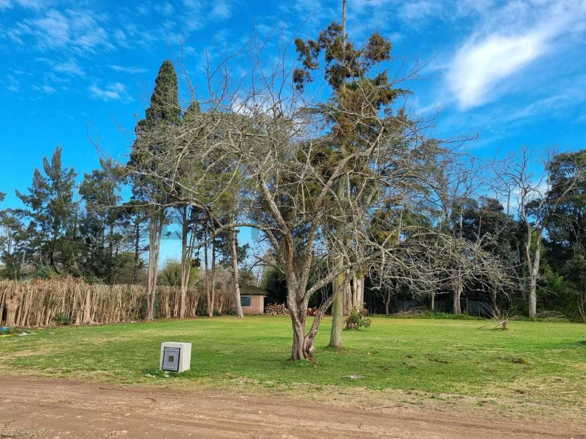 Foto de Lote en Barrio cerrado en Villa Elisa, imagen 5