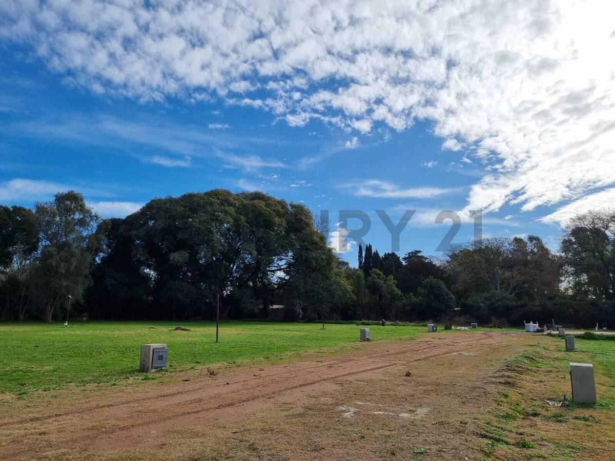 Foto de Lote en Barrio cerrado en Villa Elisa, imagen 3