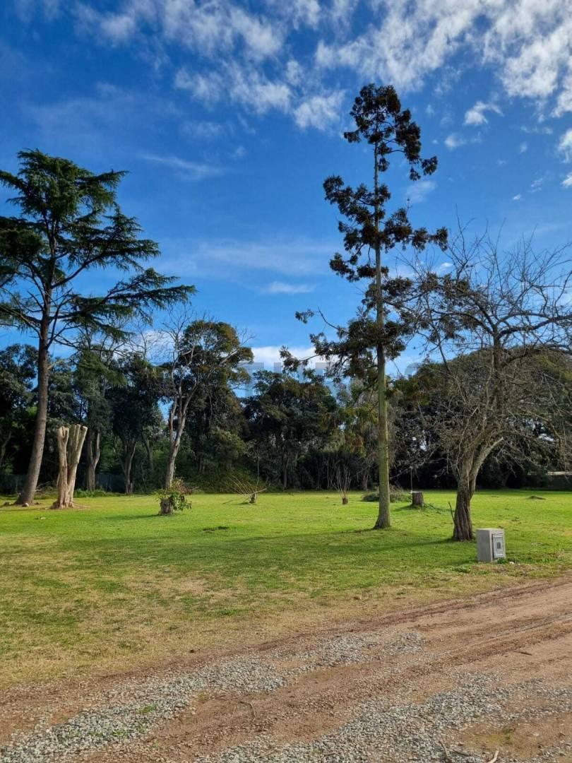 Foto de Lote en Barrio cerrado en Villa Elisa, imagen 2