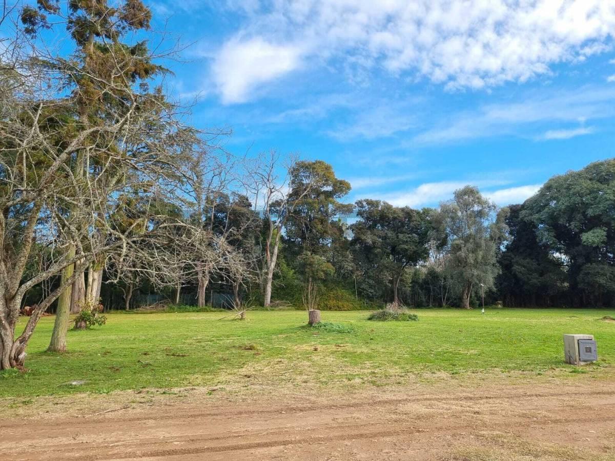 Foto de Lote en Barrio cerrado en Villa Elisa, imagen 4