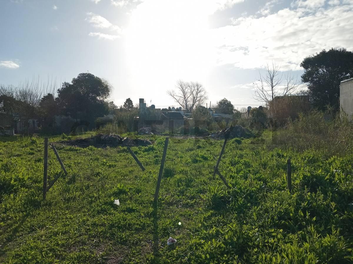 Foto de Terreno excelente ubicación, imagen 2