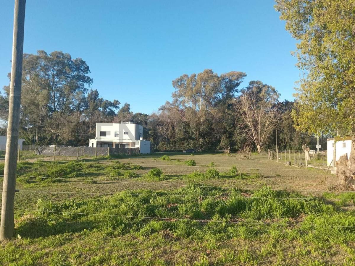 Foto de Lote en venta, imagen 4