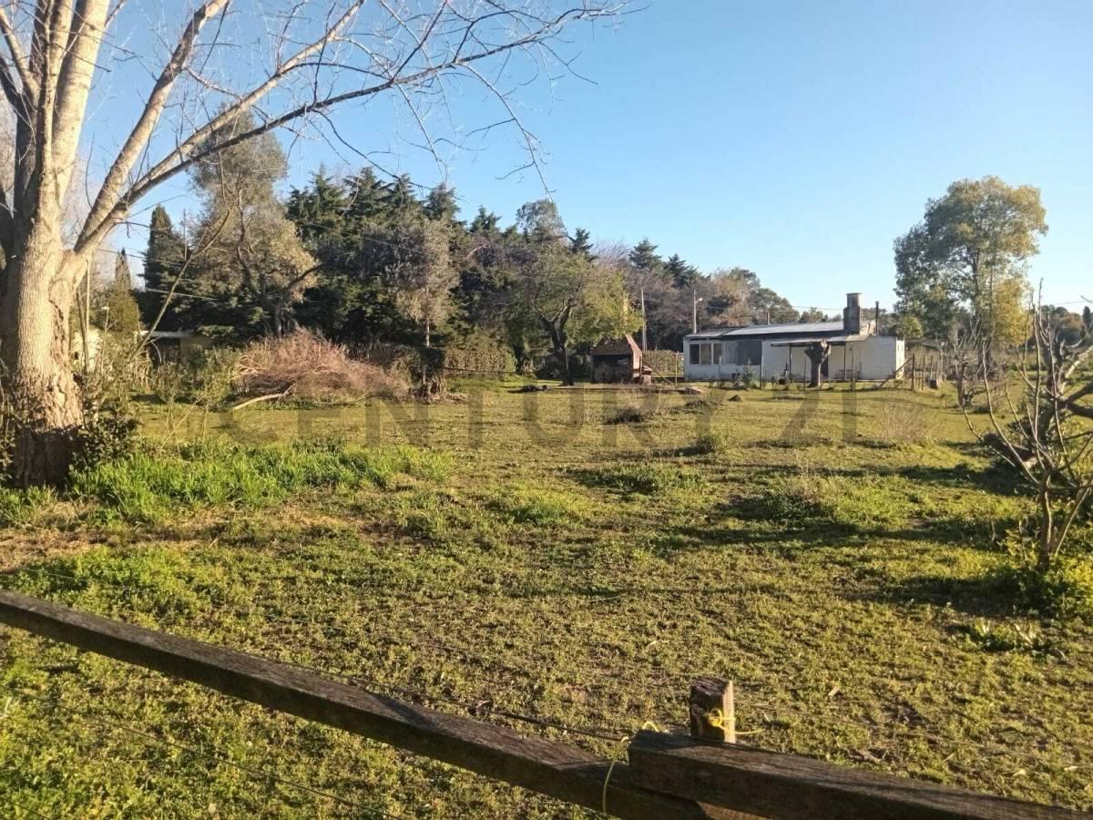 Foto de Lote en venta, imagen 5