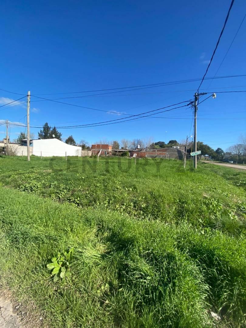 Foto de TERRENO EN VENTA – LOS HORNOS CALLE 167 y 58, imagen 5