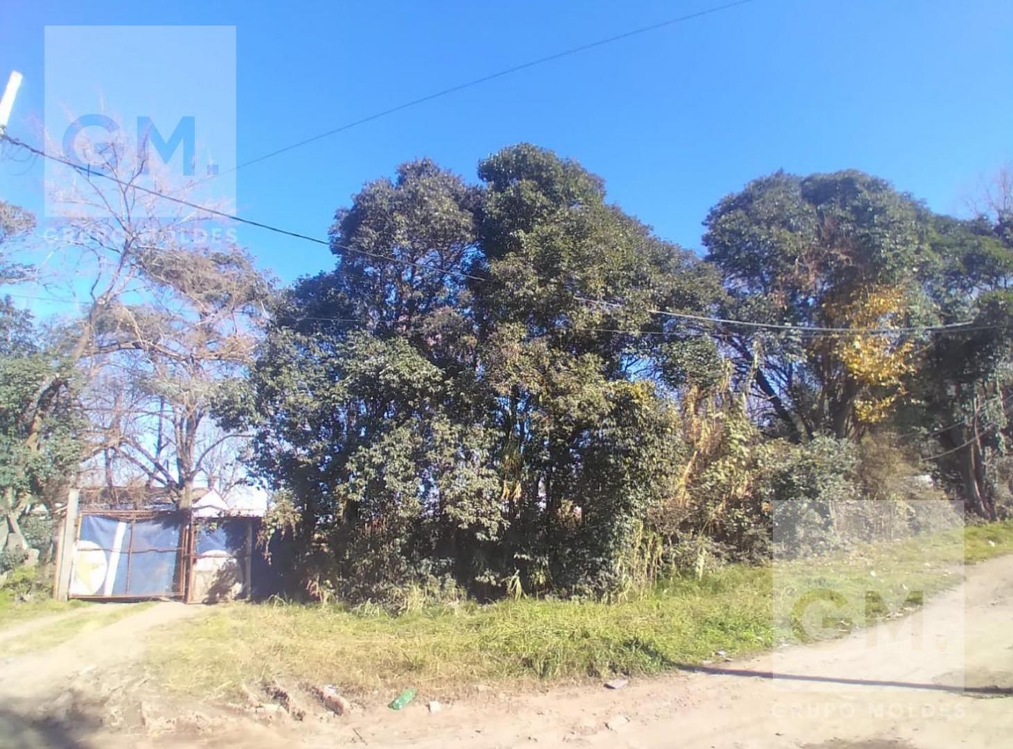Foto de Venta - Lote 10.000m2 - José C. Paz-Ideal Inversión, imagen 4
