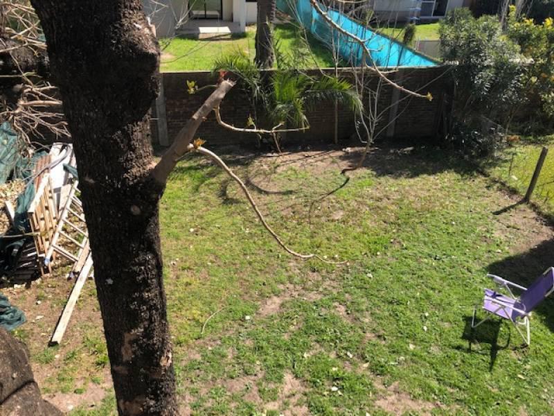 Foto de CASA VENTA ITUZAINGO, imagen 3