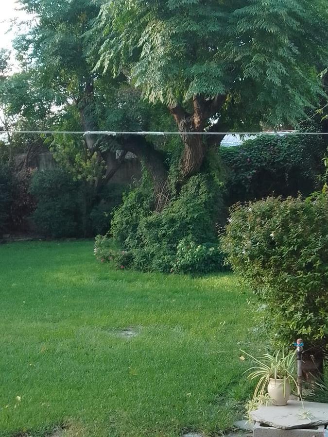 Foto de CASA VENTA ITUZAINGO, imagen 5