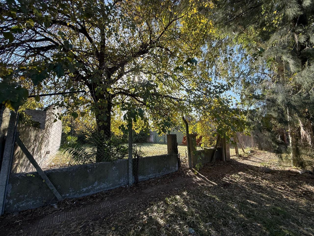 Foto de LOTE VENTA ITUZAINGO, imagen 2