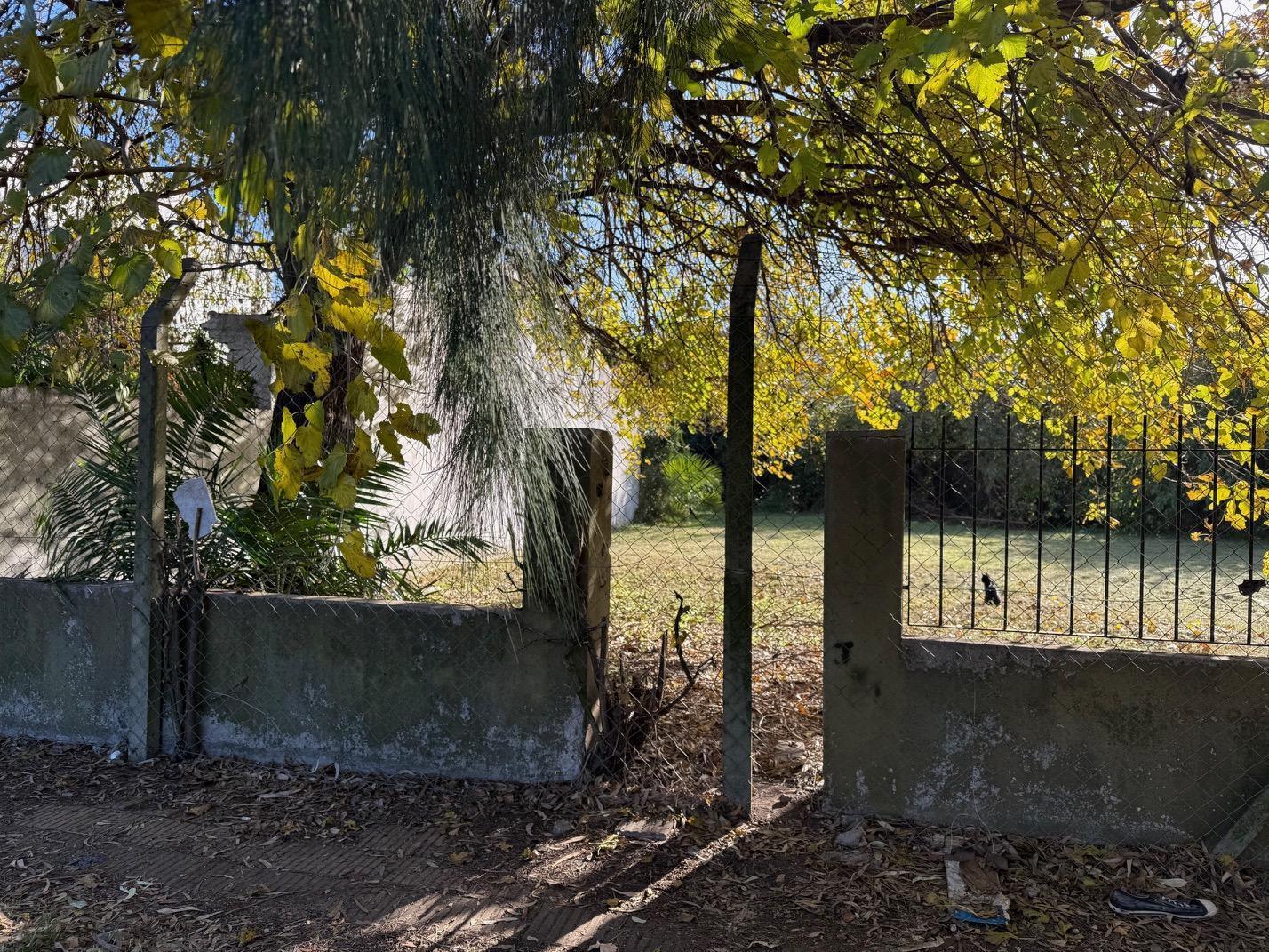 Foto de LOTE VENTA ITUZAINGO, imagen 5