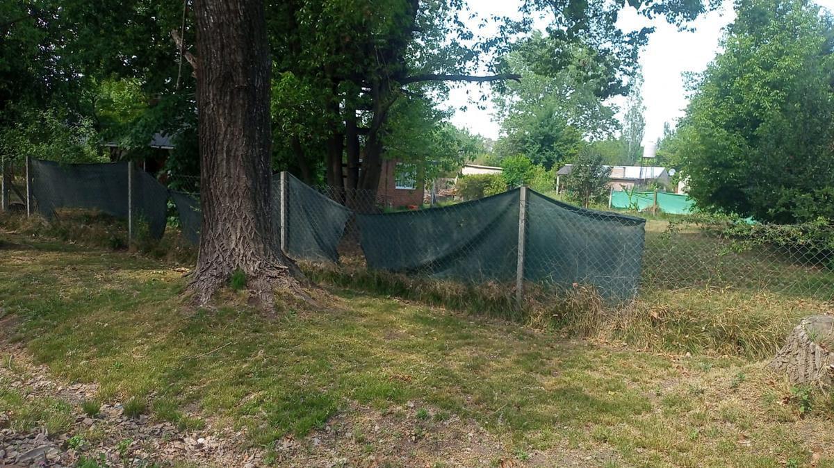 Foto de TERRENO VENTA MORENO, imagen 3