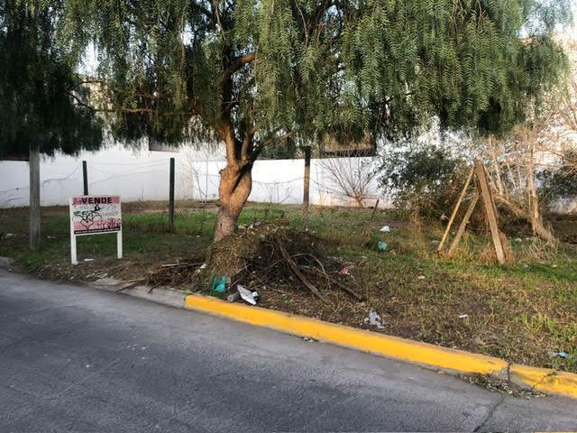 Foto de LOTE VENTA ITUZAINGO, imagen 3