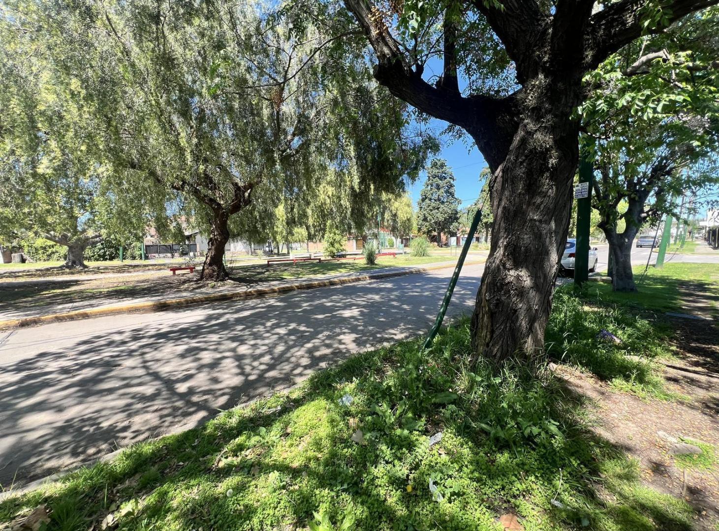 Foto de lote venta ituzaingo, imagen 4