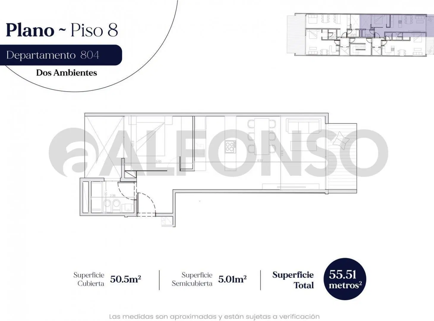 Plano 6