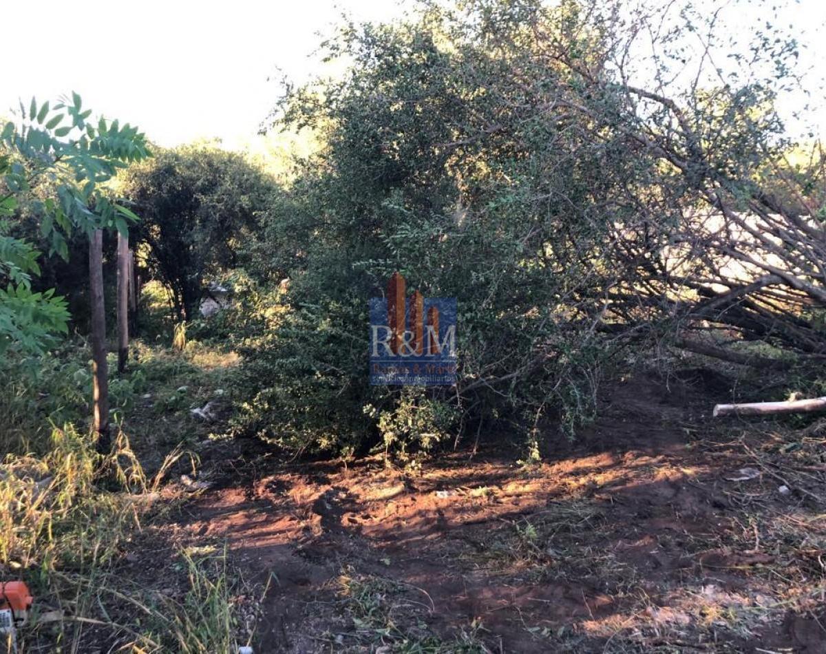 Salsipuedes: Lote con Escritura y Pilar Luz 5
